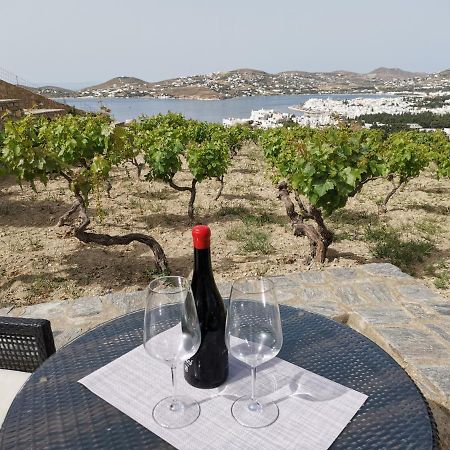 Wonderful Sea View Βίλα Πάρος Εξωτερικό φωτογραφία