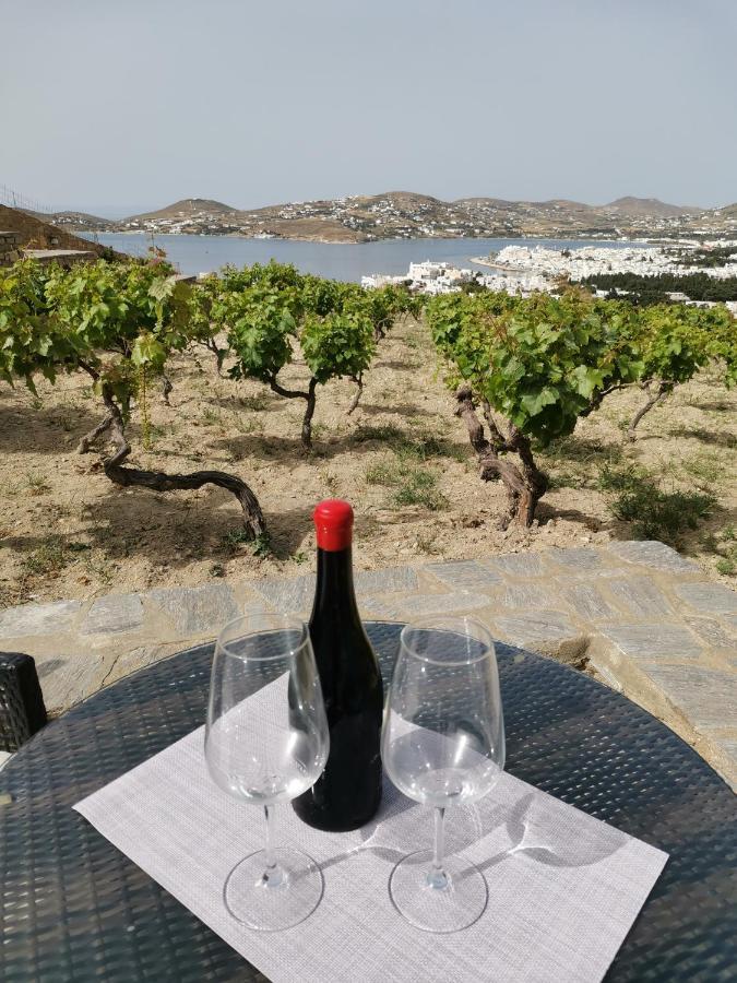 Wonderful Sea View Βίλα Πάρος Εξωτερικό φωτογραφία